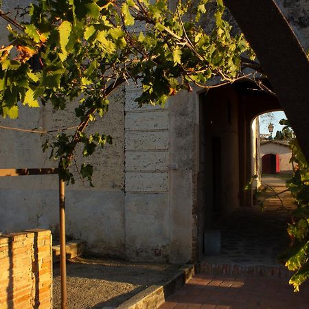 Can Rovira - Stunning Neoclassical Mansion, Just 20 Min Drive From Barcelona City Center, Ideal For Groups And Families Алейя Екстериор снимка